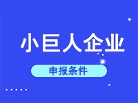 小巨人企业申报条件