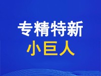 专精特新小巨人认定基本要求